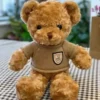 Peluche Teddy