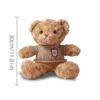 Peluche Teddy