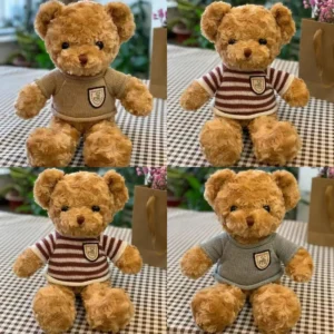 Peluche Teddy